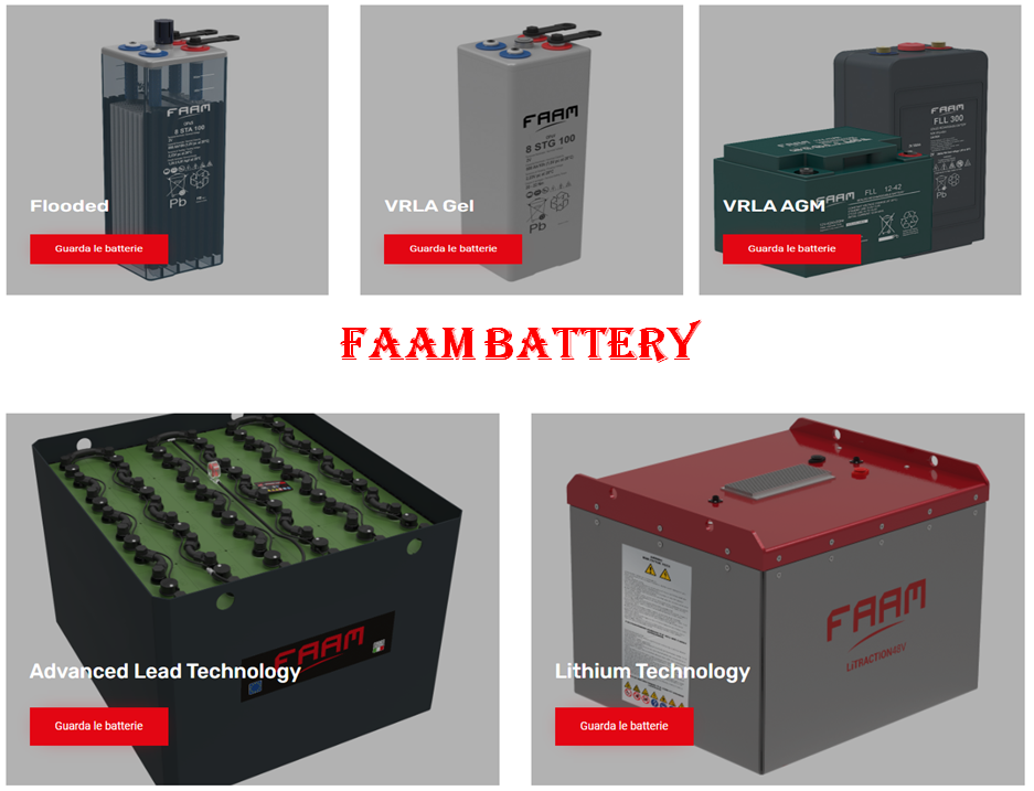 FAAM Battery